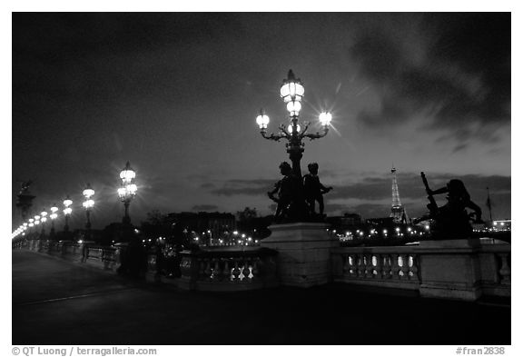 Lamps on Pont Alexandre III and Eiffel Tower at night. Paris, France (black and white)