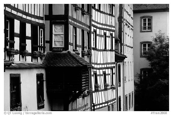 Half-timbered houses. Strasbourg, Alsace, France (black and white)