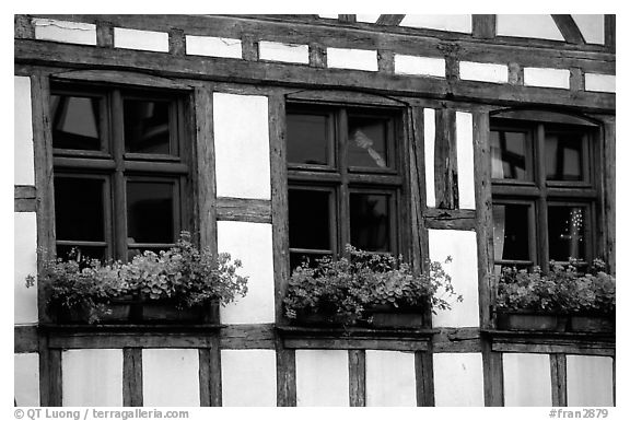 Detail of half-timbered house. Strasbourg, Alsace, France