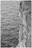 Rock climbing above water in the Calanque de Morgiou. Marseille, France (black and white)