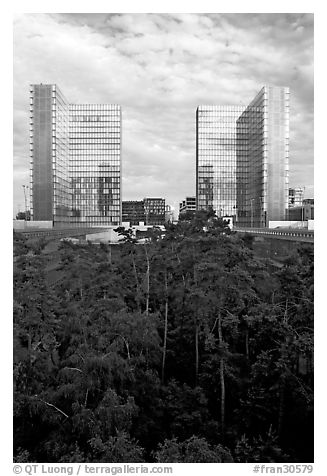 Garden of Eden in the Francois Mitterand National Library. Paris, France (black and white)