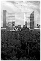 Garden of Eden in the Francois Mitterand National Library. Paris, France (black and white)