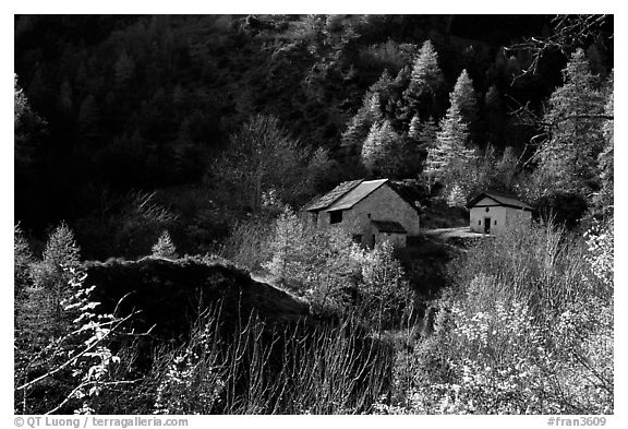 Barns in Autumn. Maritime Alps, France (black and white)