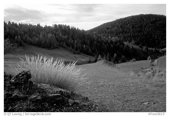 Mountain pasture in fall. Maritime Alps, France