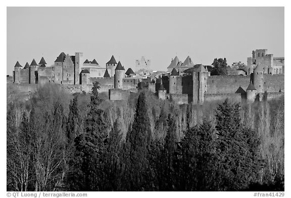 Distant view of fortified town. Carcassonne, France