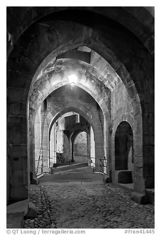 Main entrance of medieval city through drawbridge at night. Carcassonne, France (black and white)
