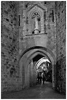 Porte Narbonaise gate by night. Carcassonne, France ( black and white)