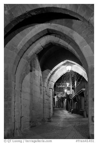 Rue Cros Mayerevielle through medieval Porte Narbornaise. Carcassonne, France (black and white)