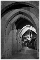 Rue Cros Mayerevielle through medieval Porte Narbornaise. Carcassonne, France (black and white)