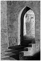 Stone gate. Carcassonne, France ( black and white)