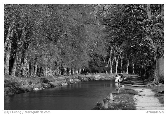 Tree-lined footpath along Canal du Midi. Carcassonne, France (black and white)