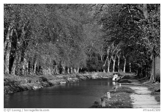 Tree-lined footpath along Canal du Midi. Carcassonne, France