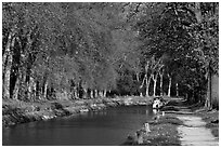 Tree-lined footpath along Canal du Midi. Carcassonne, France ( black and white)