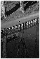 Footpath and reflections, Canal du Midi. Carcassonne, France ( black and white)