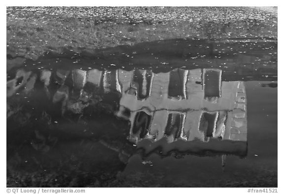 House reflections with fallen leaves, Canal du Midi. Carcassonne, France (black and white)