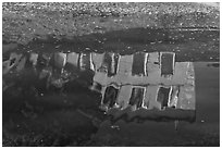 House reflections with fallen leaves, Canal du Midi. Carcassonne, France ( black and white)