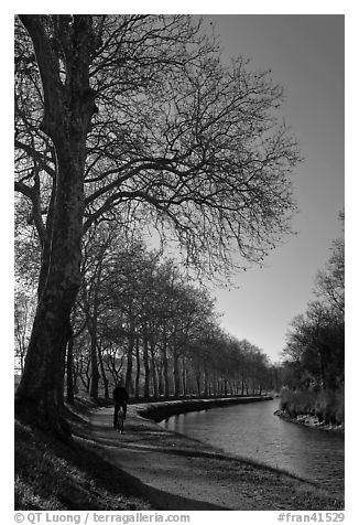 Cyclist along Canal du Midi. Carcassonne, France