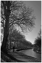 Cyclist along Canal du Midi. Carcassonne, France (black and white)