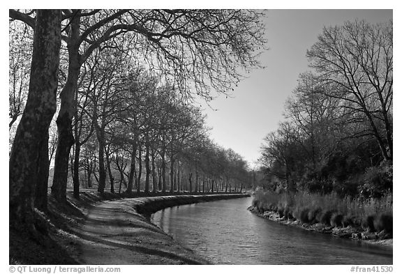 Rural section of Canal du Midi. Carcassonne, France