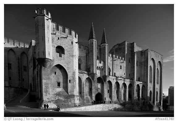 Palace of the Popes. Avignon, Provence, France (black and white)