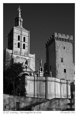 Romanesque Cathedral of Notre-Dame-des-Doms. Avignon, Provence, France (black and white)