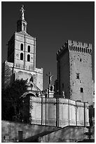 Romanesque Cathedral of Notre-Dame-des-Doms. Avignon, Provence, France (black and white)