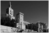 Cathedral of Notre-Dame-des-Doms and Palace of the Popes. Avignon, Provence, France (black and white)