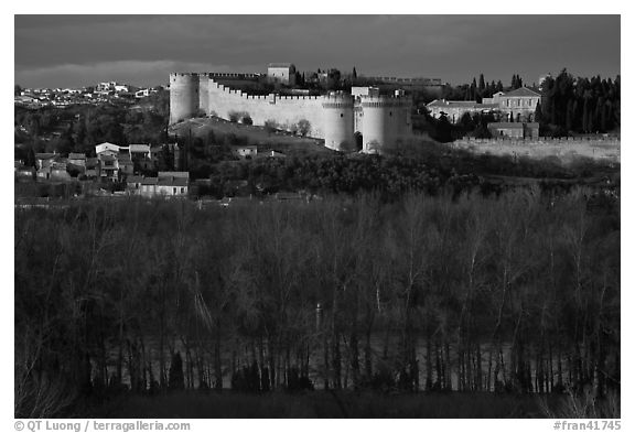 Ramparts across bare trees. Avignon, Provence, France