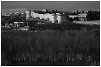 Ramparts across bare trees. Avignon, Provence, France (black and white)