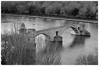 Pont St Benezet and Rhone River. Avignon, Provence, France (black and white)