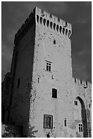 Medieval tower. Avignon, Provence, France (black and white)