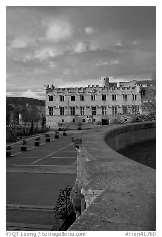 Petit Palais at sunset. Avignon, Provence, France (black and white)