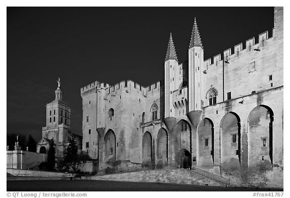 Palace of the Popes and Cathedral at night. Avignon, Provence, France (black and white)