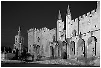 Palace of the Popes and Cathedral at night. Avignon, Provence, France (black and white)