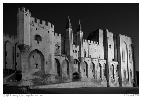Gothic facade of Papal Palace at night. Avignon, Provence, France (black and white)