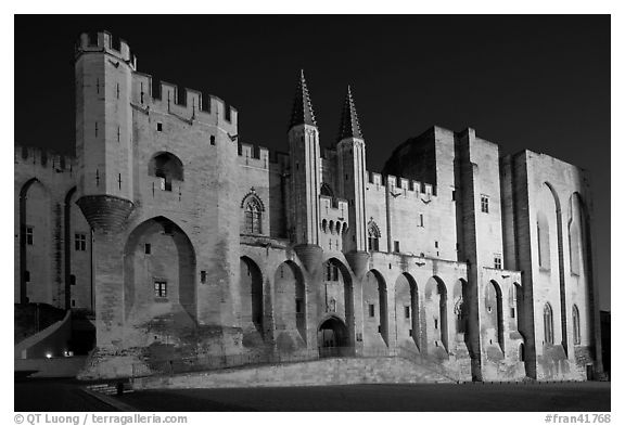 Gothic facade of Papal Palace at night. Avignon, Provence, France