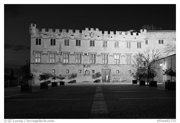 Petit Palais at night. Avignon, Provence, France (black and white)