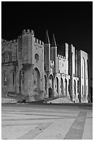 Palace square and Palais des Papes at night. Avignon, Provence, France (black and white)