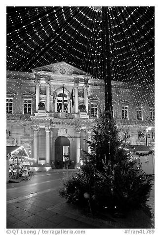 Christmas Tree and City Hall at night. Avignon, Provence, France (black and white)