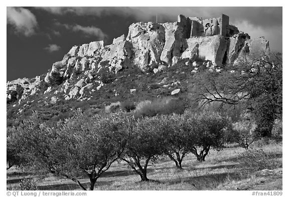 Olive trees and clifftop village, Les Baux-de-Provence. Provence, France