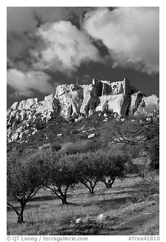 Olive orchard and village perched on cliff, Les Baux-de-Provence. Provence, France