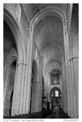 Romanesque style nave, St Trophime church. Arles, Provence, France (black and white)