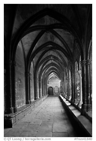 Gothic gallery, St Trophimus cloister. Arles, Provence, France