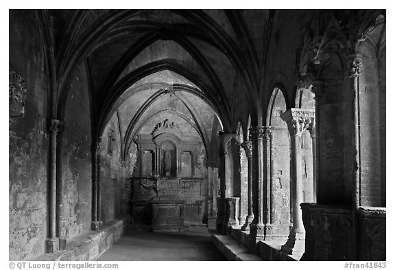 St Trophime cloister. Arles, Provence, France