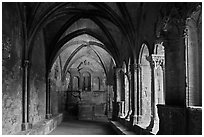 St Trophime cloister. Arles, Provence, France (black and white)