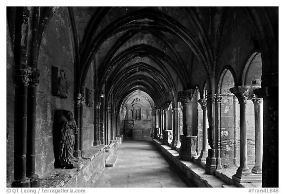 Sculptured columns, St Trophimus cloister. Arles, Provence, France