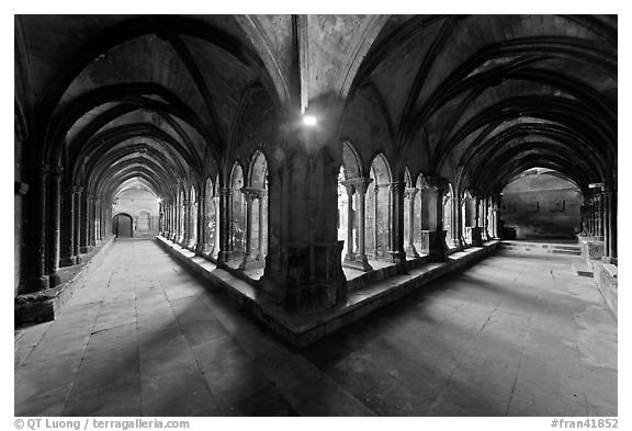 Galleries, Saint Trophimus cloister. Arles, Provence, France (black and white)