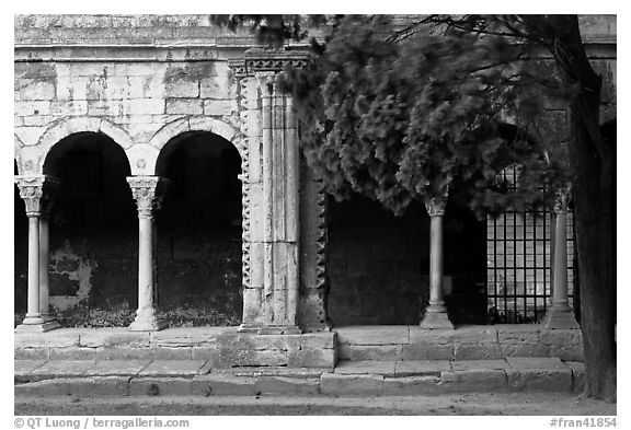 Cloister, Saint Trophimus church. Arles, Provence, France (black and white)