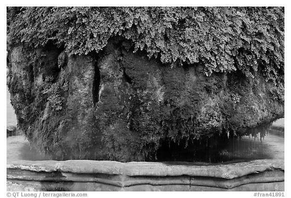 Moss-covered thermal fountain. Aix-en-Provence, France (black and white)