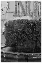 Fountain, Cours Mirabeau. Aix-en-Provence, France (black and white)